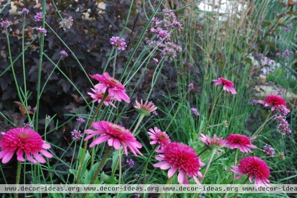 eclectic landscape by Jay Sifford Garden Design