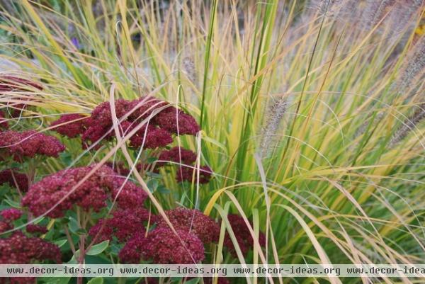 landscape by Paintbox Garden