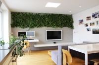 My Houzz: LEDs and a Living Wall Color a Minimalist Slovakian Home