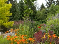 Great Garden Combo: Planting for Fiery Color and Beautiful Wildlife