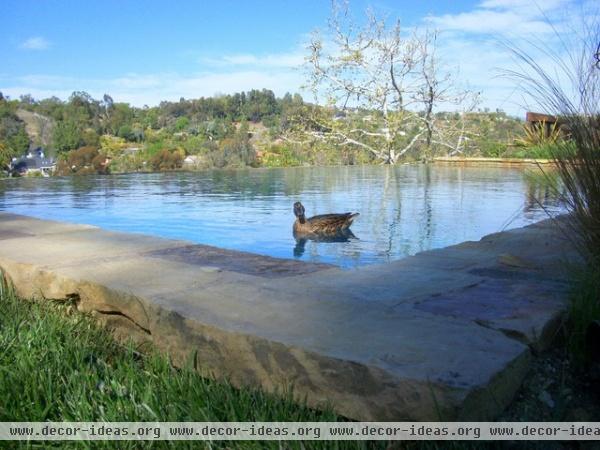 mediterranean pool by Lisa Hallett Taylor