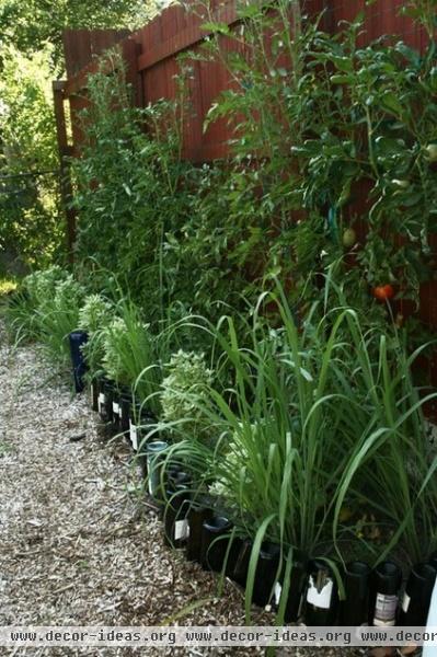 traditional landscape Vegetable Garden against Fence