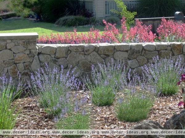 mediterranean landscape by Huettl Landscape Architecture