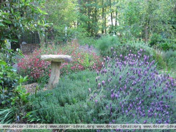 contemporary landscape by Gardening with Confidence®