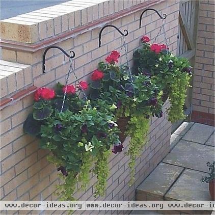 Geranium Hanging Cones