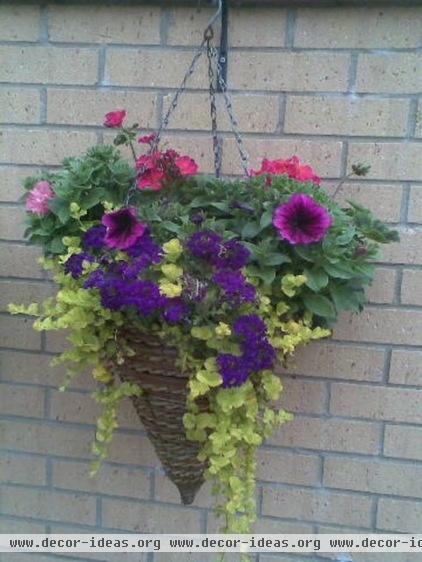 Mixed Planting Hanging Cone