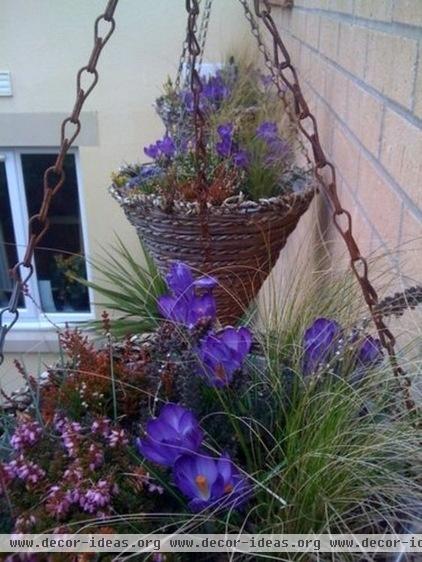 Winter Flowering Hanging Cones