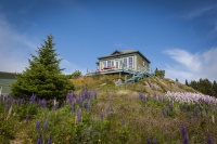 My Houzz: Cozy Seaside Cabins Welcome Friends and Family