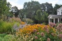 Butterfly Gardening: Delight the Eyes With Living Sculptures