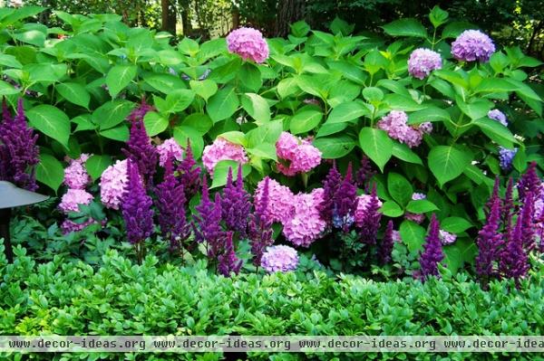 traditional patio by Leslie Rohrer