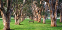 Enjoy Plantings, Eat Bugs and Learn at the Australian Garden Show