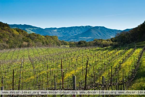 farmhouse landscape by CahillStudio Sonoma