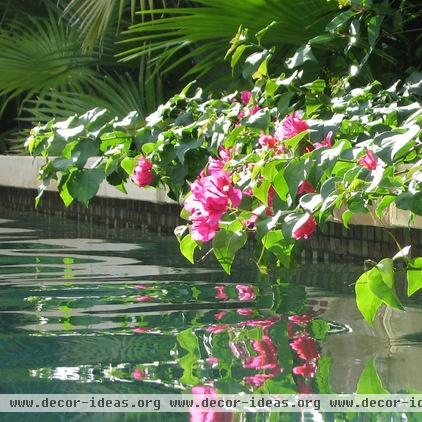 asian pool Balinese Asian Garden