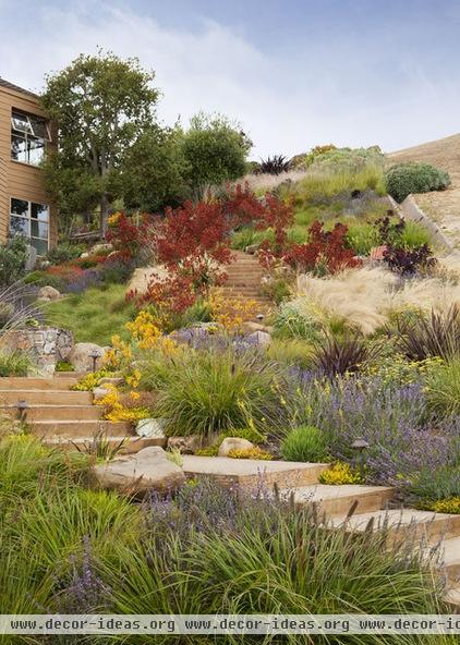 beach style landscape by Arterra LLP Landscape Architects