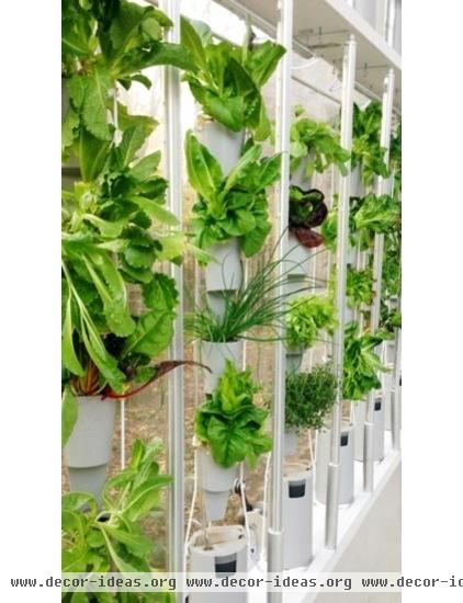 contemporary indoor pots and planters by store.windowfarms.com