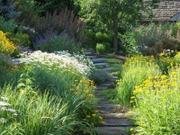 Patio of the Week: Keep a Secret Garden on the Side