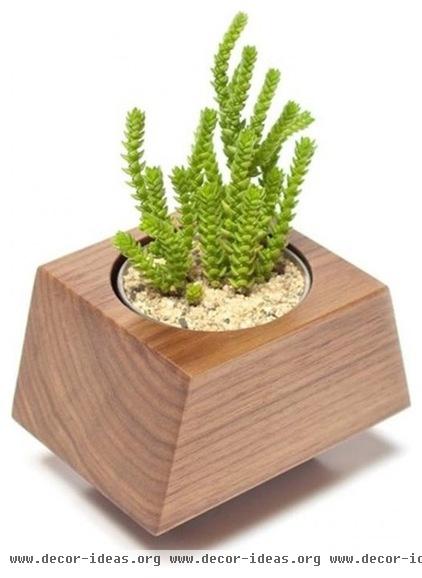 contemporary indoor pots and planters by Tilde