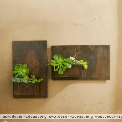 contemporary indoor pots and planters by VivaTerra