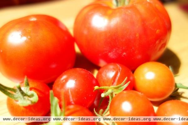 Family in the Houzz: The Tomato Season and Family Heritage