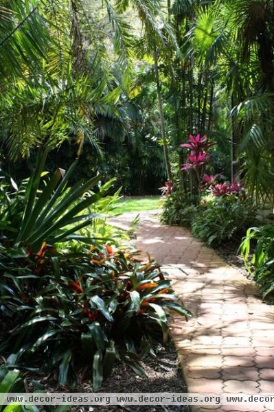 bromeliads in shade