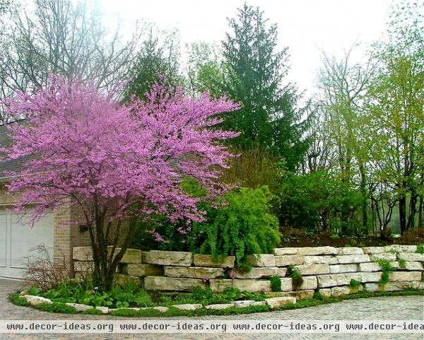 traditional landscape by The American Gardener, LLC