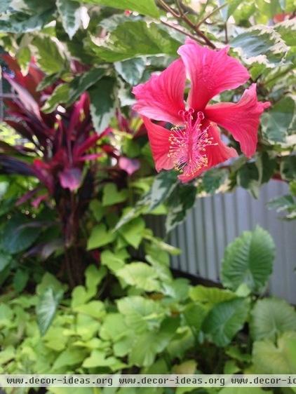 An Apartment Complex Gets a Garden Makeover