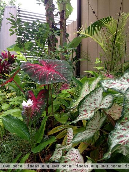 An Apartment Complex Gets a Garden Makeover