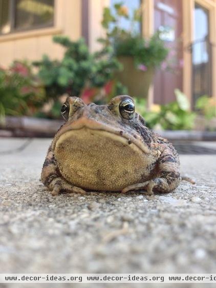 Houzz Tours: An Apartment Complex Gets a Garden Makeover