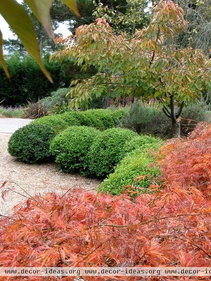 eclectic landscape by Arthur Lathouris Garden Designer