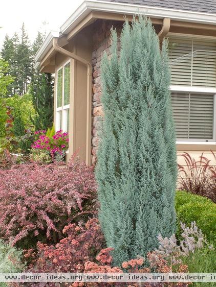 traditional landscape by Le jardinet