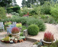 See a Lush Australian Garden That Needs Little Water