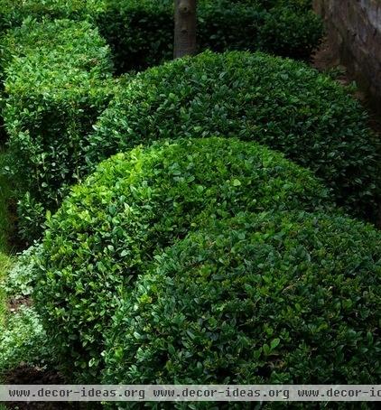 traditional landscape by Laara Copley-Smith Garden & Landscape Design