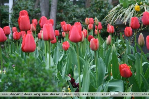 traditional landscape by Gardening with Confidence®