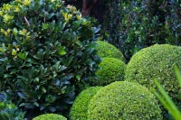 Green-Only Gardens Draw the Eye and Soothe the Spirit