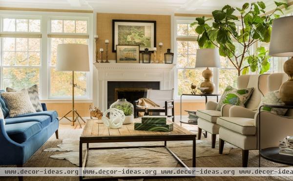 transitional living room by Hudson Interior Design