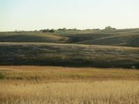 How to Get Your Prairie On