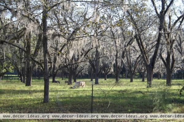 Flood Tolerant Trees for Soggy Soil