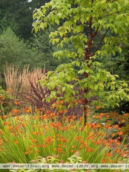 traditional landscape by Le jardinet