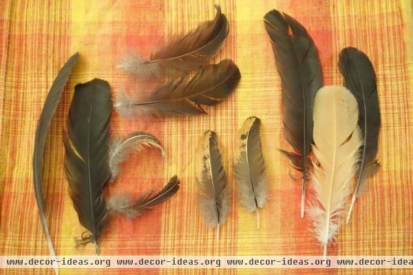 Decorate Your Nest with Chicken Feathers