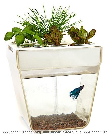 contemporary indoor pots and planters by ThinkGeek