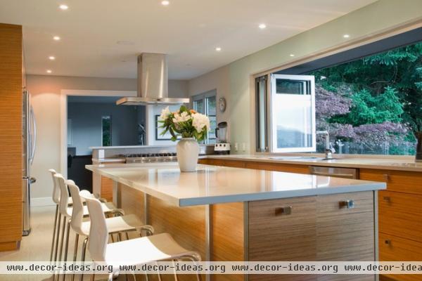 contemporary kitchen by Heather Merenda