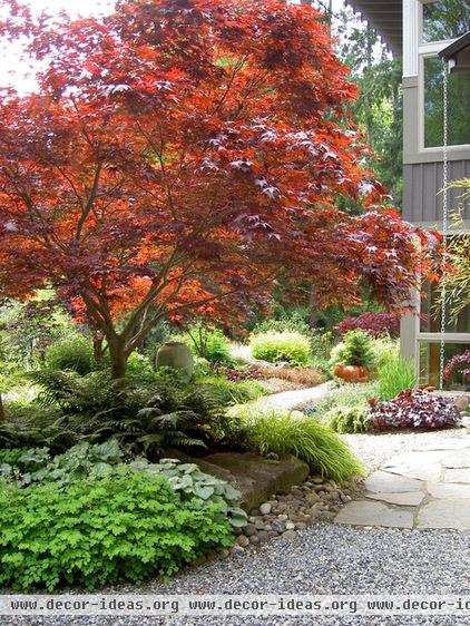 contemporary landscape by Bliss Garden Design