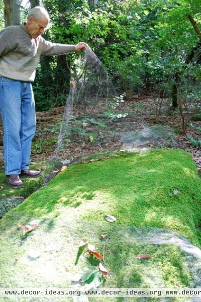 traditional landscape by Jay Sifford Garden Design