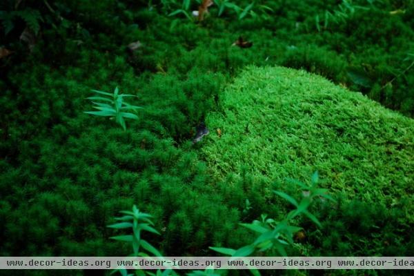 traditional landscape by Jay Sifford Garden Design