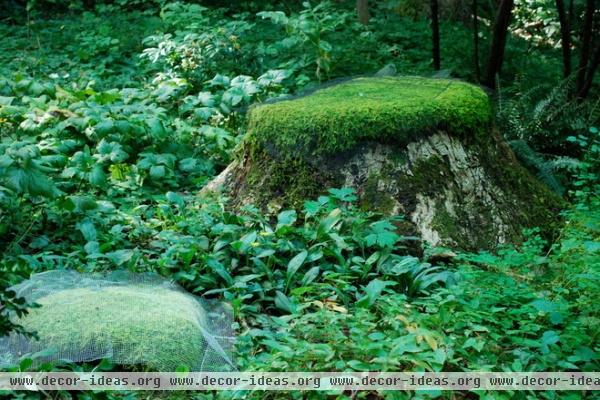 traditional landscape by Jay Sifford Garden Design