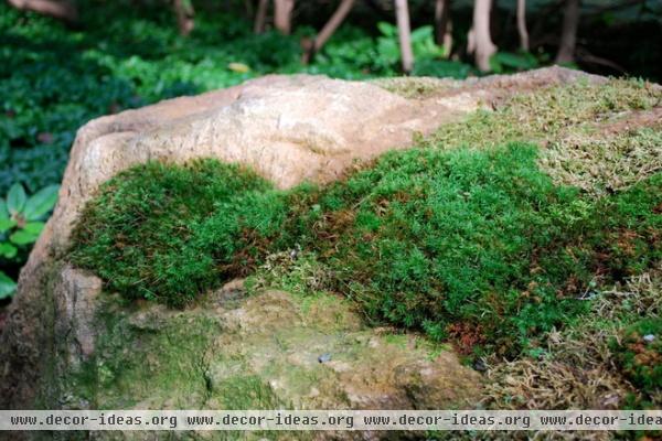 traditional landscape by Jay Sifford Garden Design