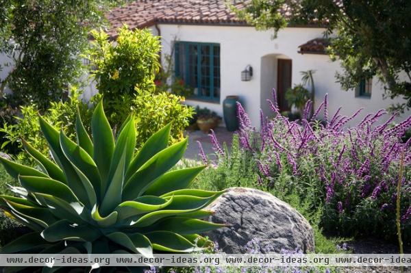 mediterranean landscape by Margie Grace - Grace Design Associates