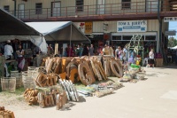 Treasure Hunting at Texas' First Monday Trade Days