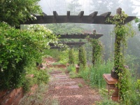 3 Essential Elements of an Artful Garden Path