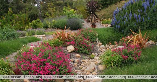 mediterranean landscape by Donna Lynn - Landscape Designer